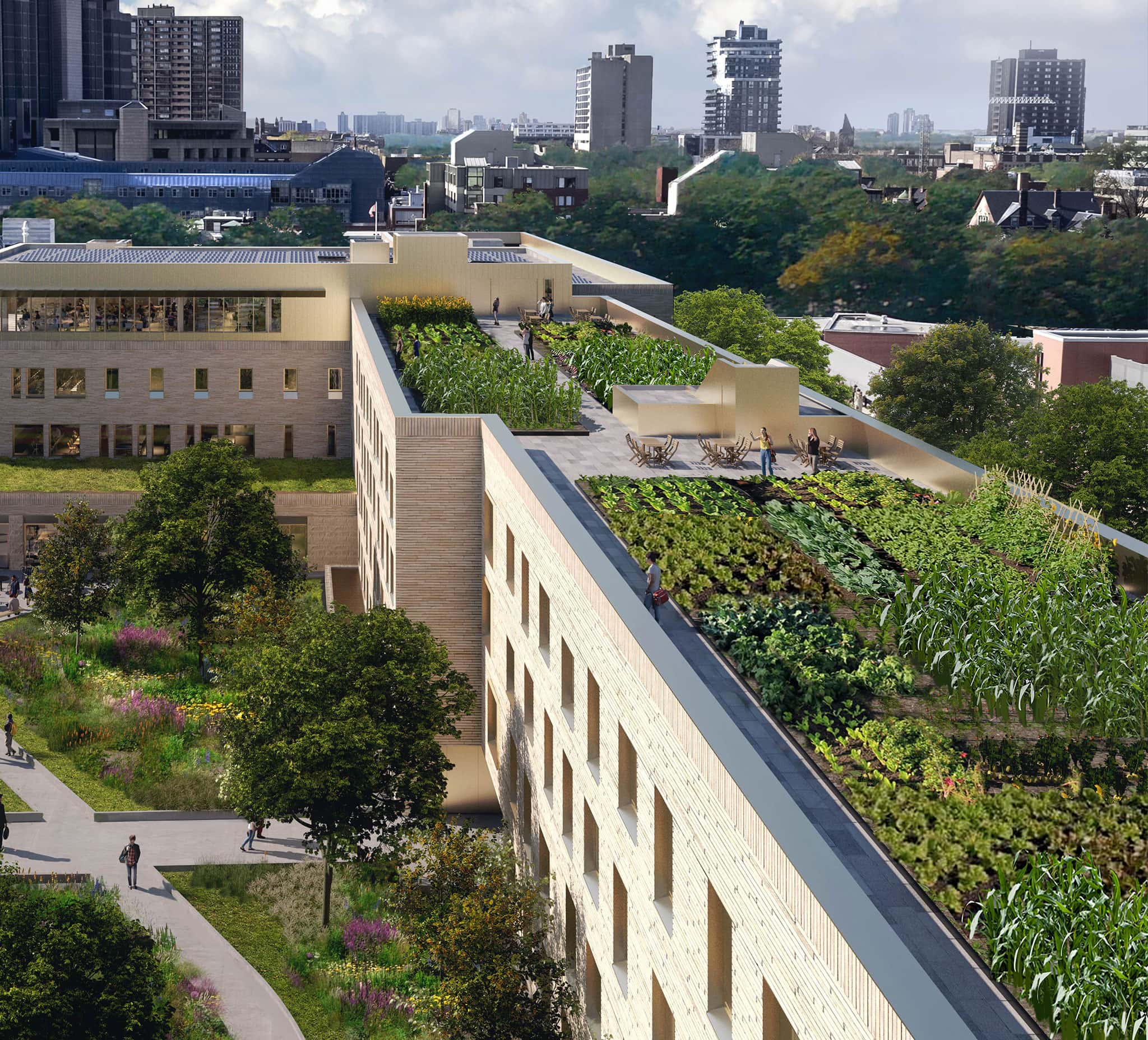 An artist’s illustration shows a 3-storey building with vegetable gardens and solar panels on its flat rooftop.